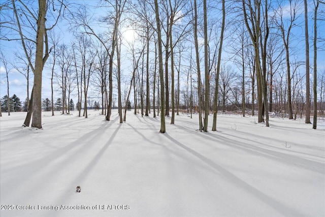 view of yard covered in snow