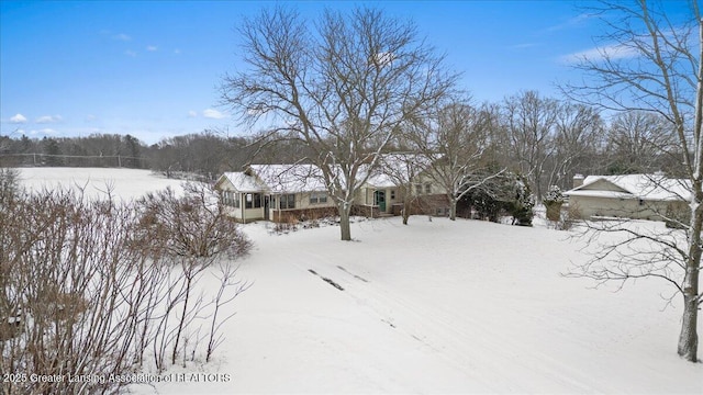 view of yard covered in snow