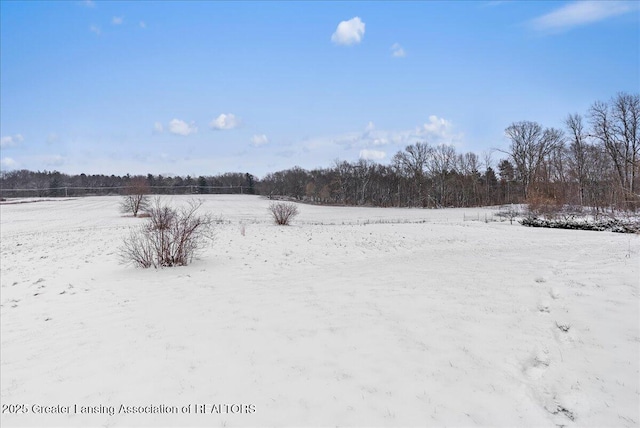 view of yard covered in snow