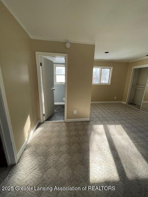 interior space featuring crown molding and carpet floors