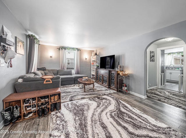 living room featuring hardwood / wood-style flooring and sink