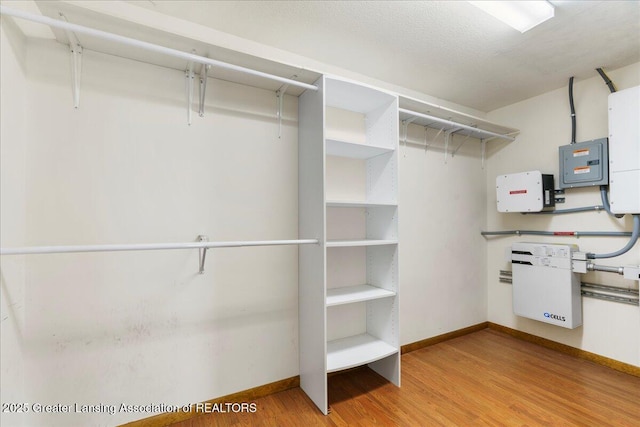 spacious closet with light hardwood / wood-style flooring