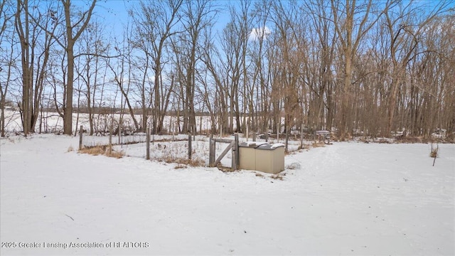 view of snowy yard