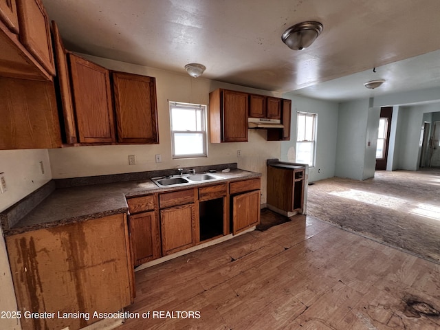 kitchen featuring sink and wood-type flooring