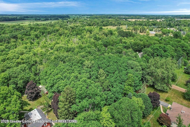 ParcelC Bailey Road, Dimondale, MI 48821 - photo 6