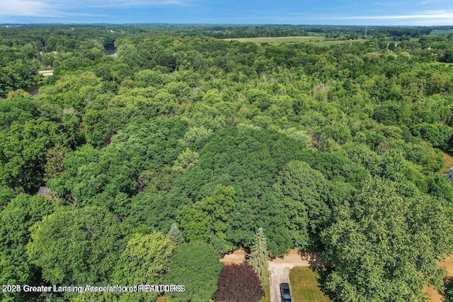 ParcelC Bailey Road, Dimondale, MI 48821 - photo 10