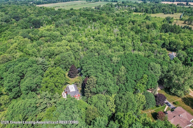 ParcelC Bailey Road, Dimondale, MI 48821 - photo 13