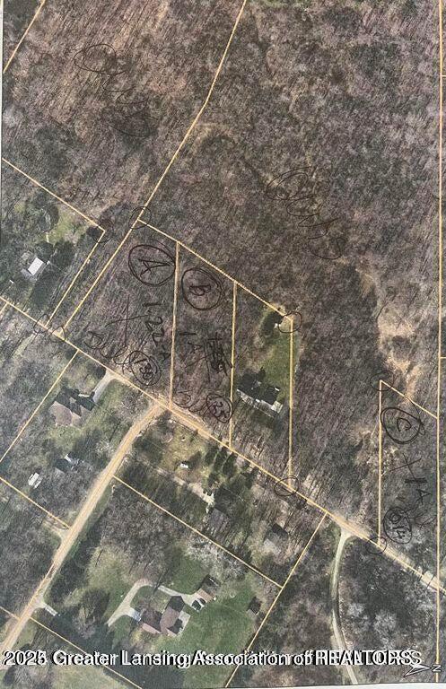 ParcelC Bailey Road, Dimondale, MI 48821 - photo 2