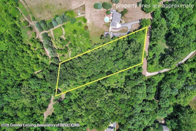 ParcelC Bailey Road, Dimondale, MI 48821 - photo 1