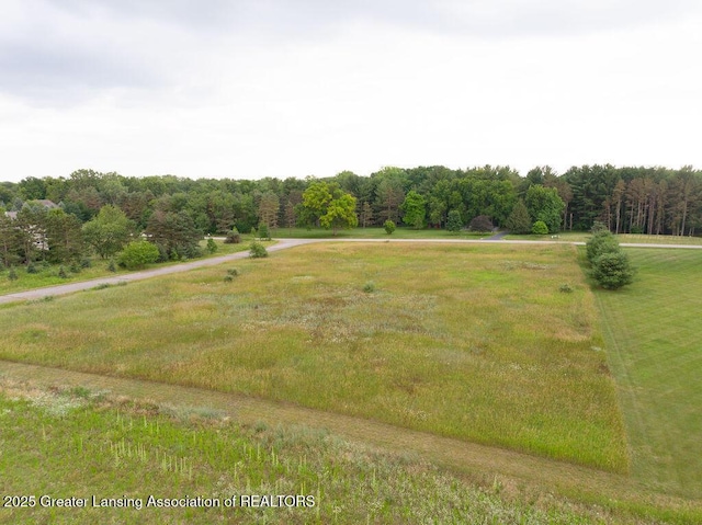 1035 Cherry Valle Ln, Williamston MI, 48895 land for sale