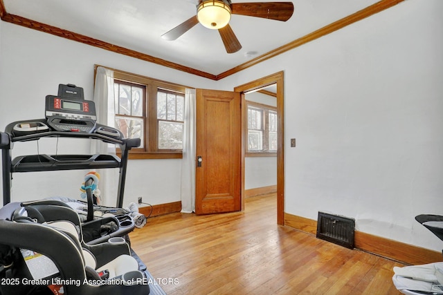 exercise area with crown molding, ceiling fan, and light wood-type flooring