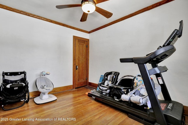 exercise room featuring hardwood / wood-style flooring, crown molding, and ceiling fan