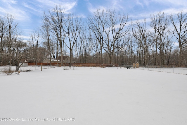 view of yard covered in snow