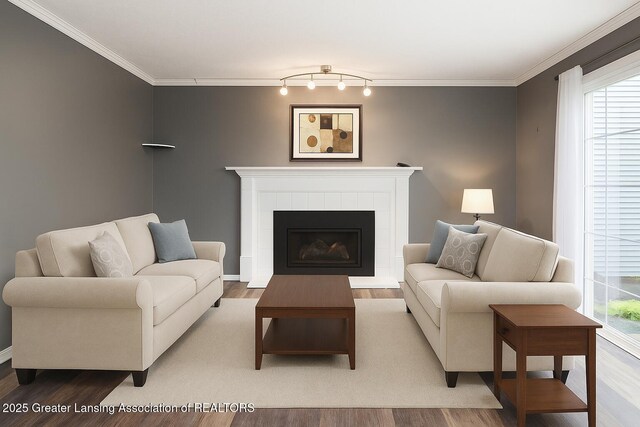 1008 Touraine Ave, East Lansing, MI 48823 - living room featuring wood finished floors, crown molding, plenty of natural light, and a tile fireplace