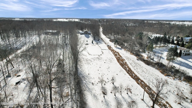 view of snowy aerial view