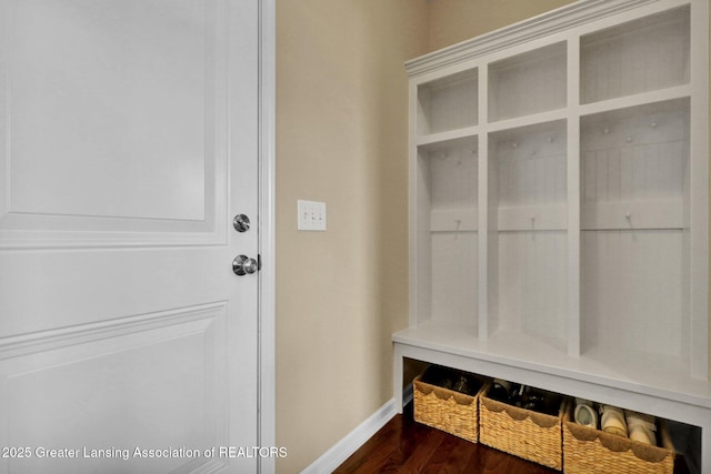 mudroom with dark wood-type flooring