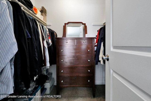 view of walk in closet