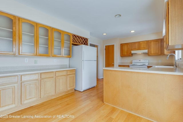 kitchen with white appliances, sink, and light hardwood / wood-style flooring