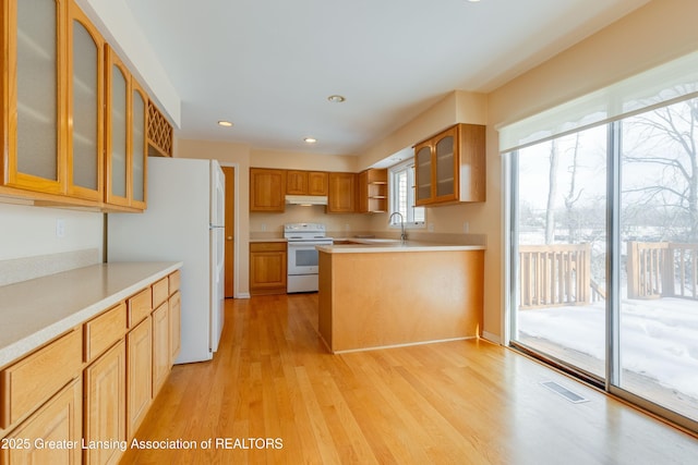 kitchen with white appliances, sink, and light hardwood / wood-style flooring