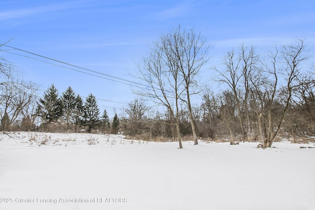 view of yard layered in snow