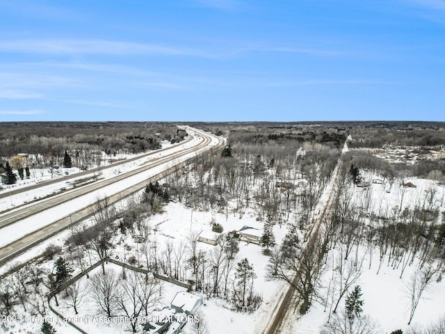 view of snowy aerial view