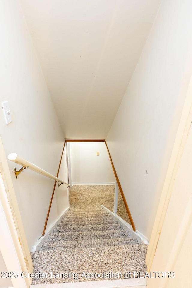 stairs with carpet floors