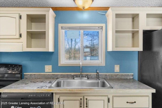 kitchen with sink and black appliances