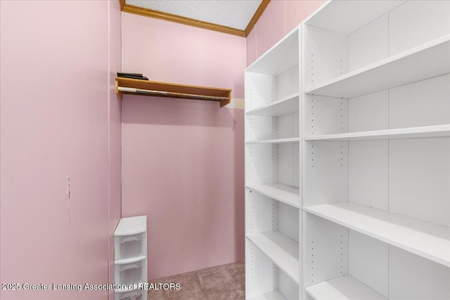 spacious closet with light carpet