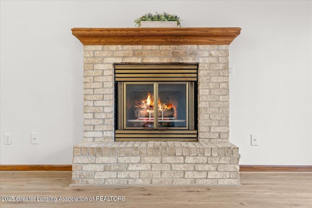 details featuring hardwood / wood-style floors and a fireplace