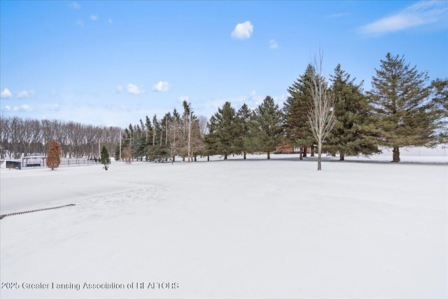 view of yard covered in snow