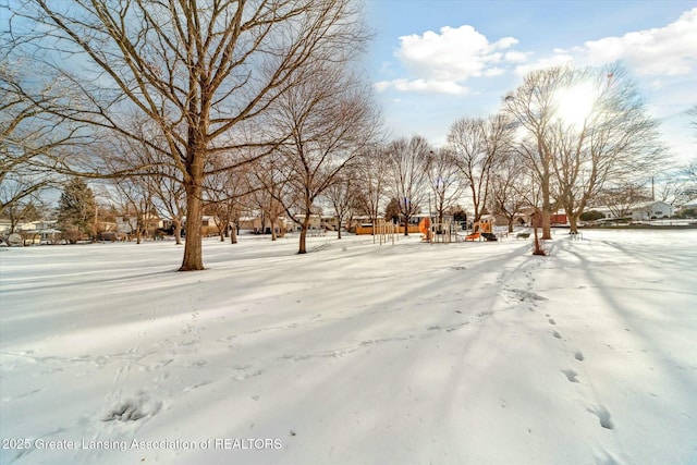 view of yard layered in snow