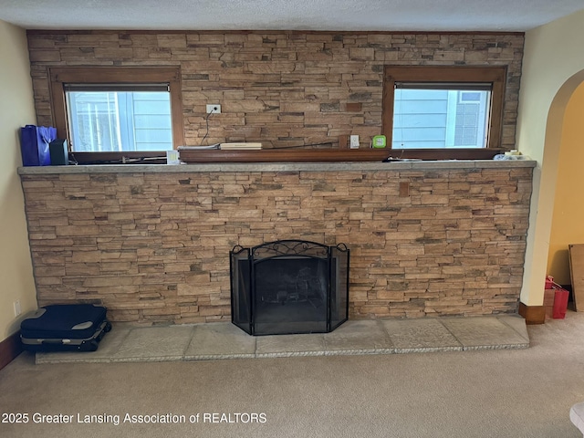 details featuring carpet floors and a textured ceiling