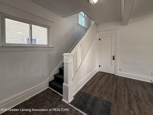 stairway featuring ornamental molding and hardwood / wood-style floors