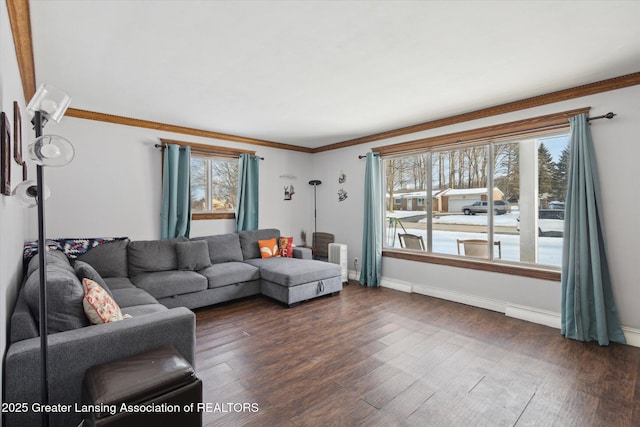 living room with ornamental molding and dark hardwood / wood-style floors