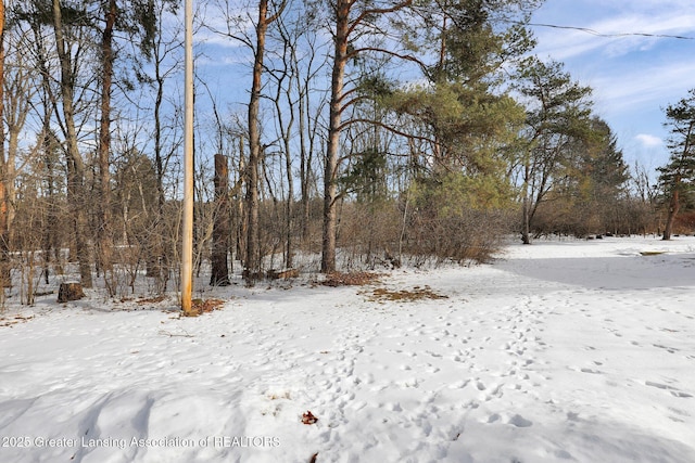 view of yard layered in snow