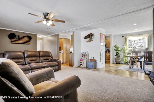 living room featuring a textured ceiling, light hardwood / wood-style flooring, ornamental molding, and ceiling fan