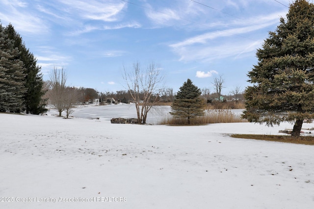 view of snowy yard