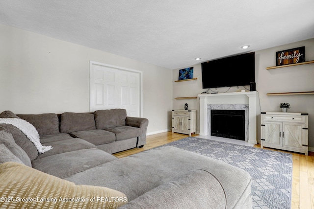 living room with a premium fireplace and light hardwood / wood-style floors