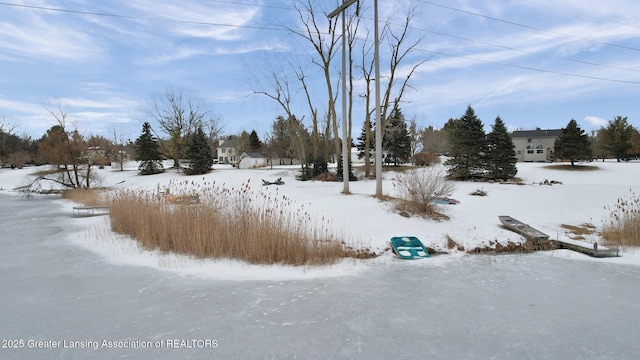 view of yard covered in snow