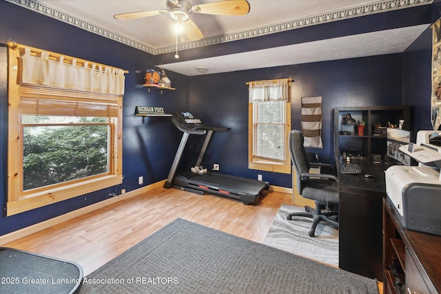 home office featuring ceiling fan and hardwood / wood-style floors