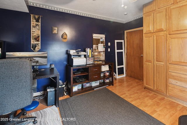 home office featuring light hardwood / wood-style floors