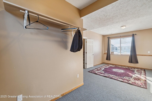 spacious closet featuring carpet flooring