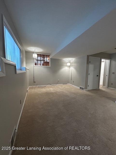 basement with carpet floors