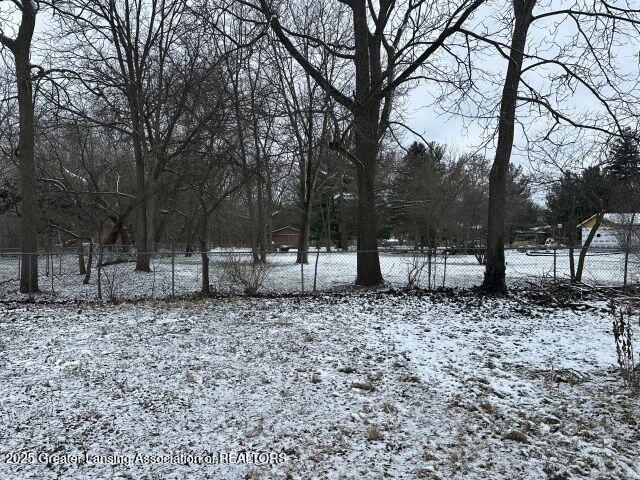 view of snowy yard