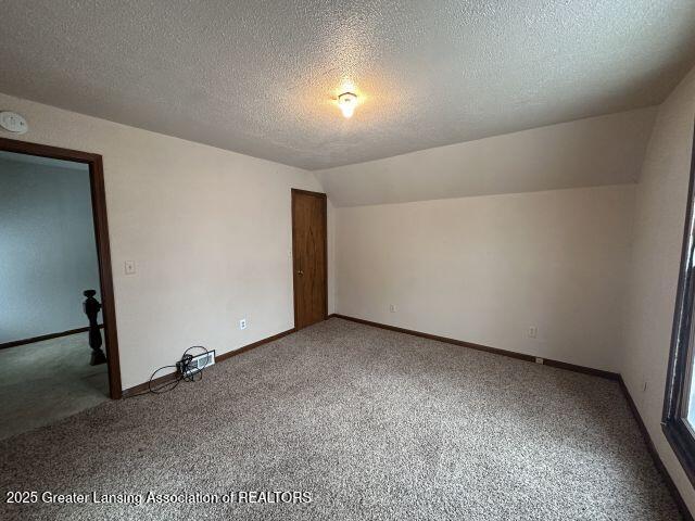 additional living space featuring lofted ceiling, carpet floors, and a textured ceiling