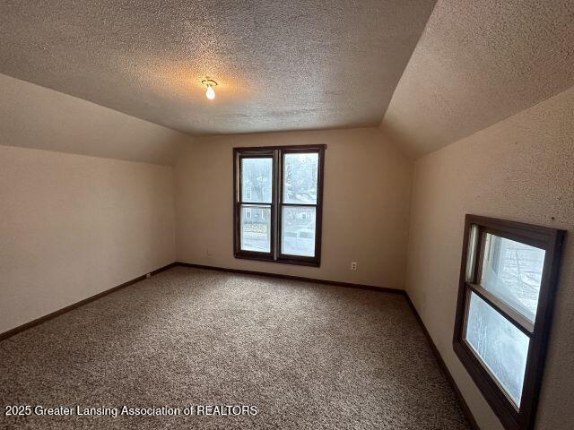 additional living space featuring lofted ceiling, a textured ceiling, and carpet flooring