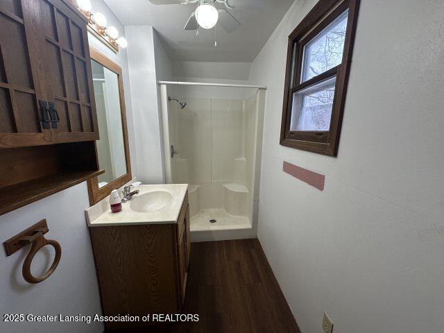 bathroom with walk in shower, wood-type flooring, and vanity