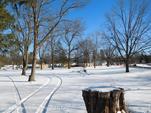 view of yard covered in snow