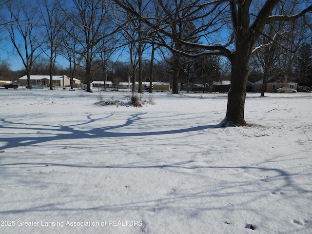 view of snowy yard