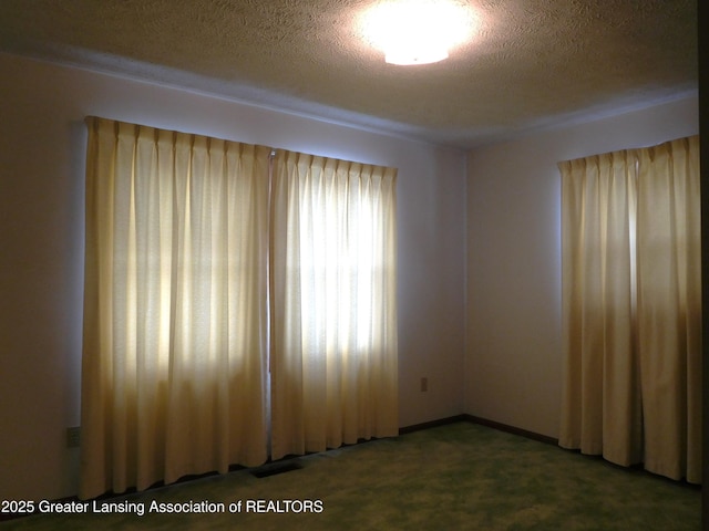 empty room featuring carpet floors and a textured ceiling